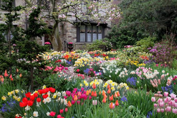 Garden Maintenance Service in Stillwater