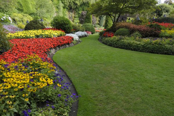 Landscaping Maintenance in Stillwater