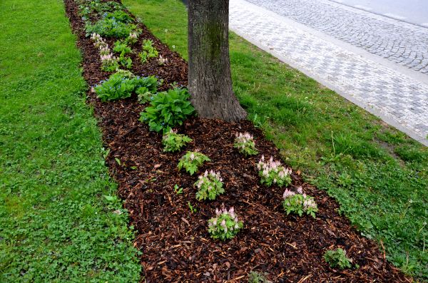 Mulch Replacement Service in Stillwater