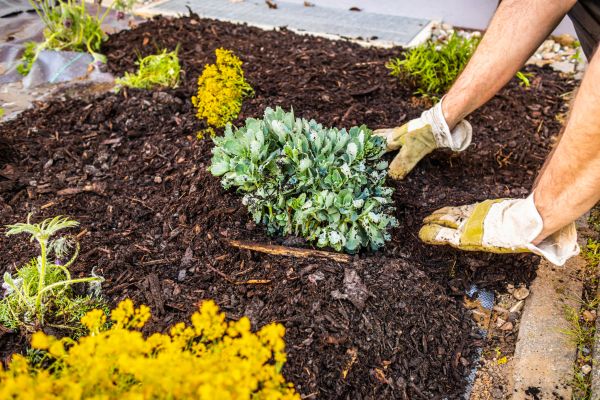 Weeding And Mulching in Stillwater