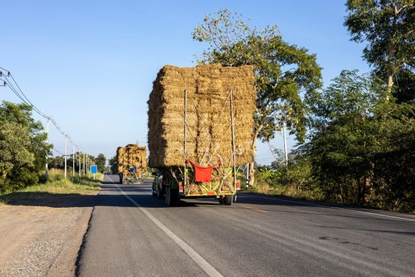 Pine Straw Delivery in Stillwater