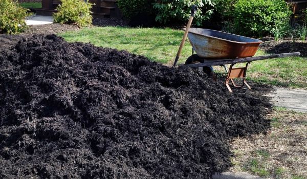 Black Mulch Delivery in Stillwater