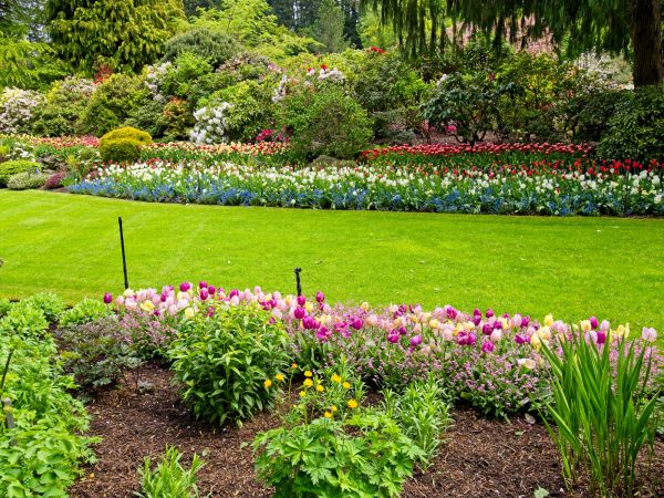 Residential Landscape Design Service