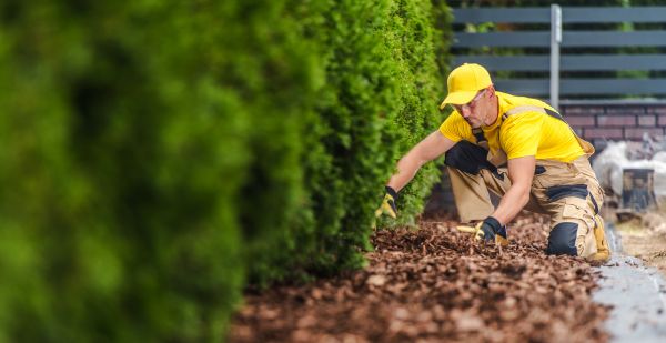 Cypress Mulch Installation in Stillwater