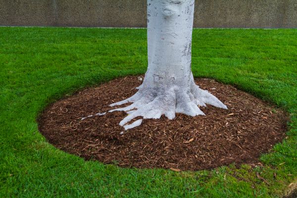 Brown Mulch Installation in Stillwater