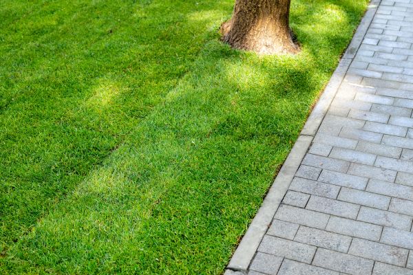 Border Stone Installation in Stillwater