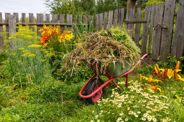 Garden Cleanup Service in Stillwater