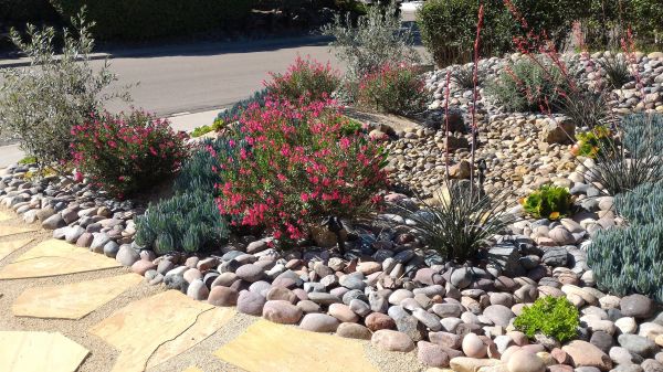 Xeriscape Landscaping in Stillwater