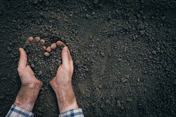 Soil Installation in Stillwater