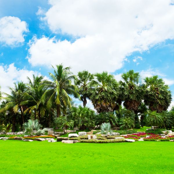 Tropical Landscaping in Stillwater