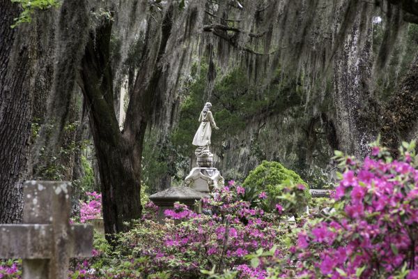 Cemetery Landscaping in Stillwater