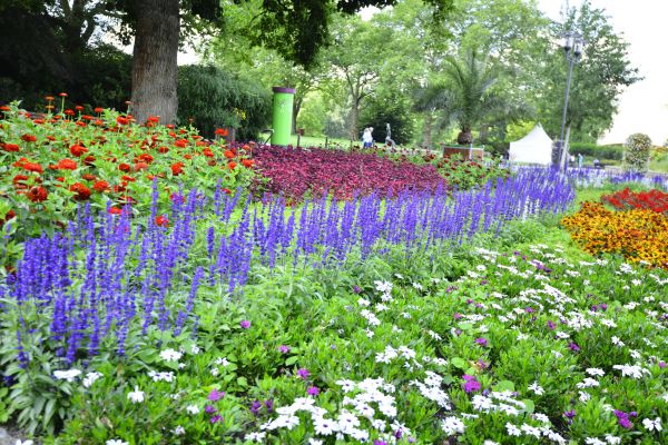 Perennials Planting in Stillwater