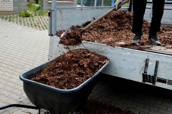 Cypress Mulch Delivery in Stillwater