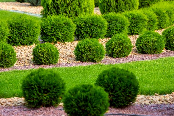 Bush Installation in Stillwater