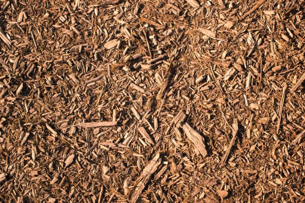 Wood Chips Removal in Stillwater