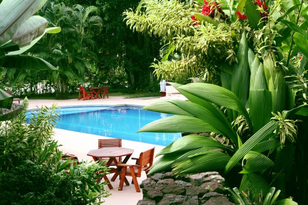 Pool Area Landscaping in Stillwater