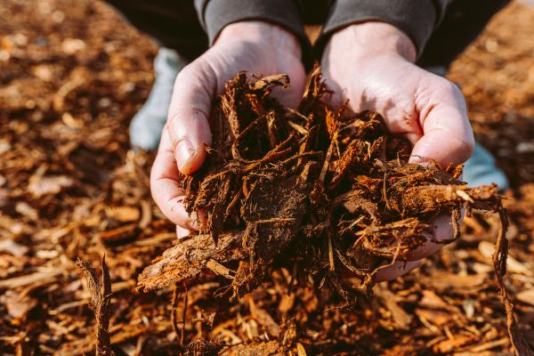 Bark Chips Delivery in Stillwater