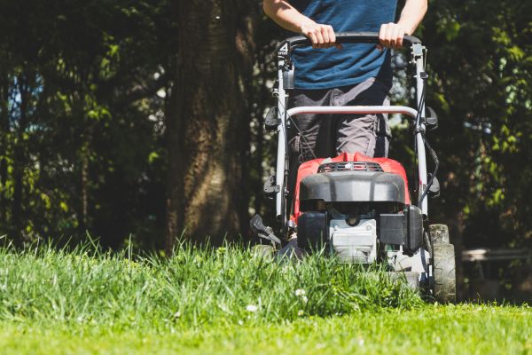 Garden Trimming Service in Stillwater