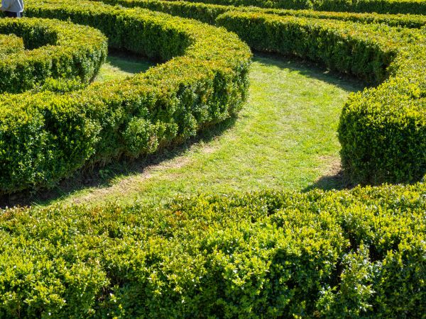 Bush Landscaping in Stillwater