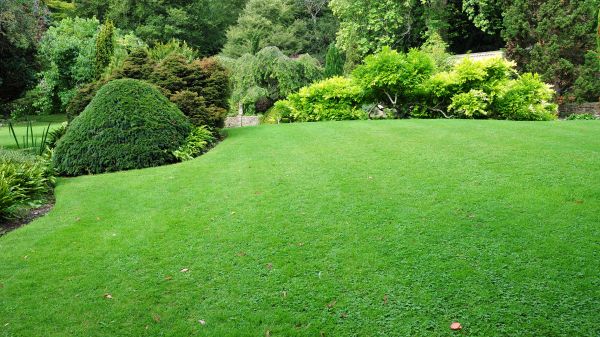 Commercial Landscape Design in Stillwater
