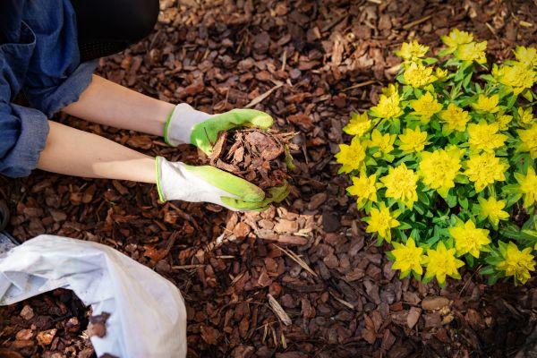 Plant Bed Mulching in Stillwater