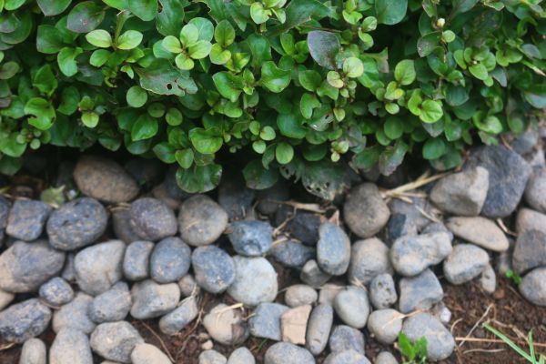 River Stone Installation in Stillwater