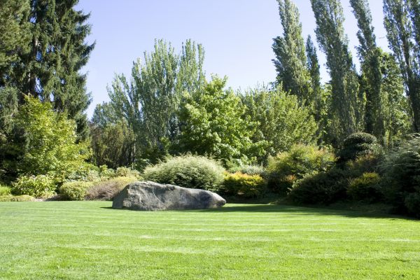 Yard Enlargement in Stillwater