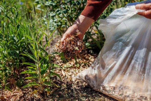 Wood Mulch Installation in Stillwater