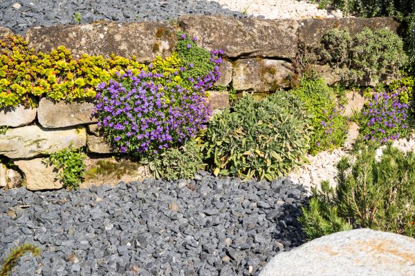 Landscaping Rocks Installation in Stillwater