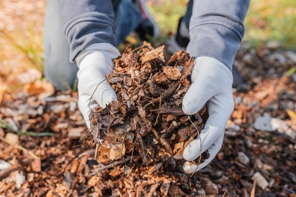 Shredded Mulch Installation in Stillwater