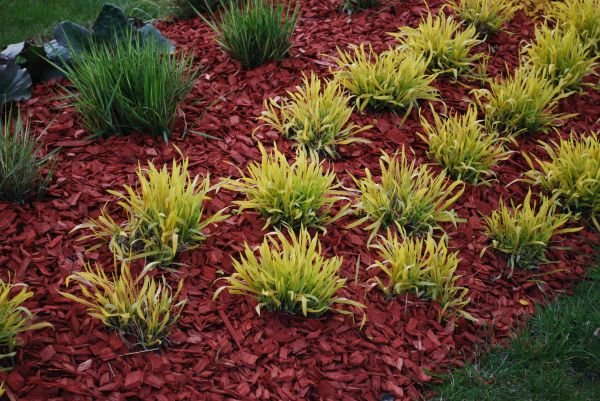 Red Mulch Installation in Stillwater