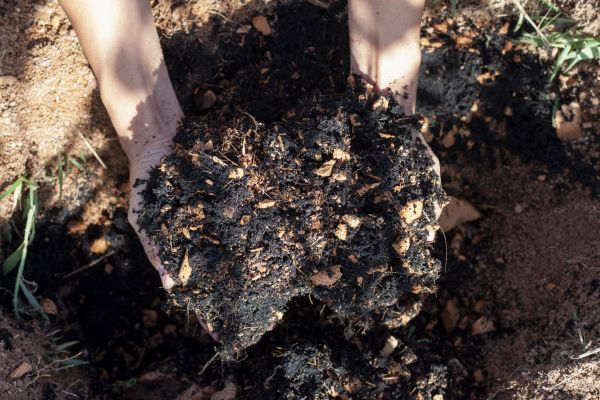 Organic Mulch Installation in Stillwater