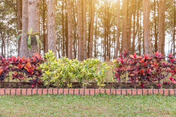 Small Garden Landscaping in Stillwater