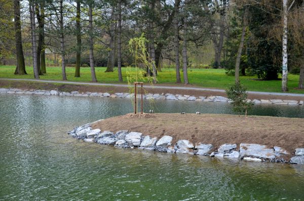 Pond Landscaping Service in Stillwater