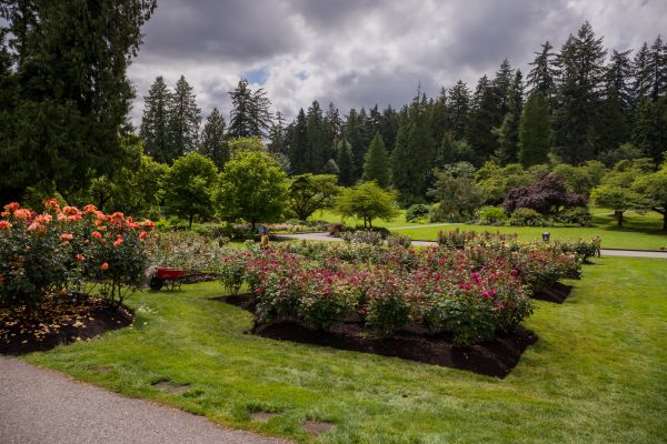 Flower Garden Landscaping in Stillwater