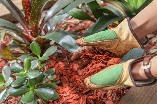Residential Mulching in Stillwater