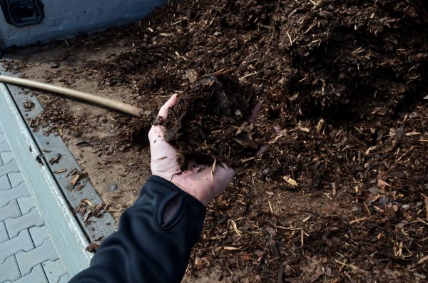 Condo Mulching in Stillwater