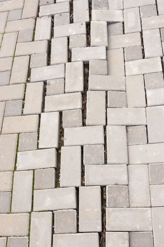 Paver Patio with Intricate Pattern