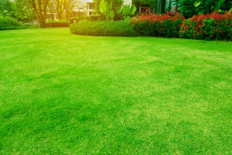 Maintaining Your Landscape